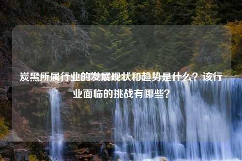 炭黑所属行业的发展现状和趋势是什么？该行业面临的挑战有哪些？